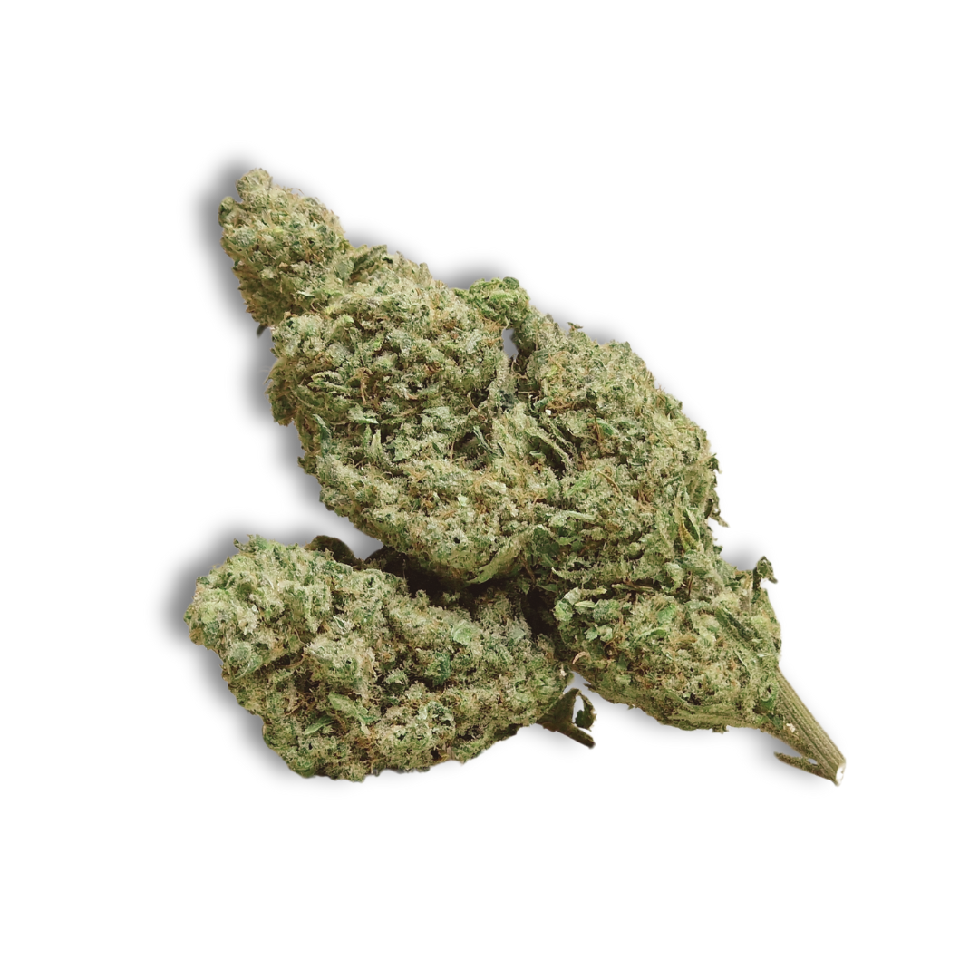 Northern Lights — cáñamo CBD