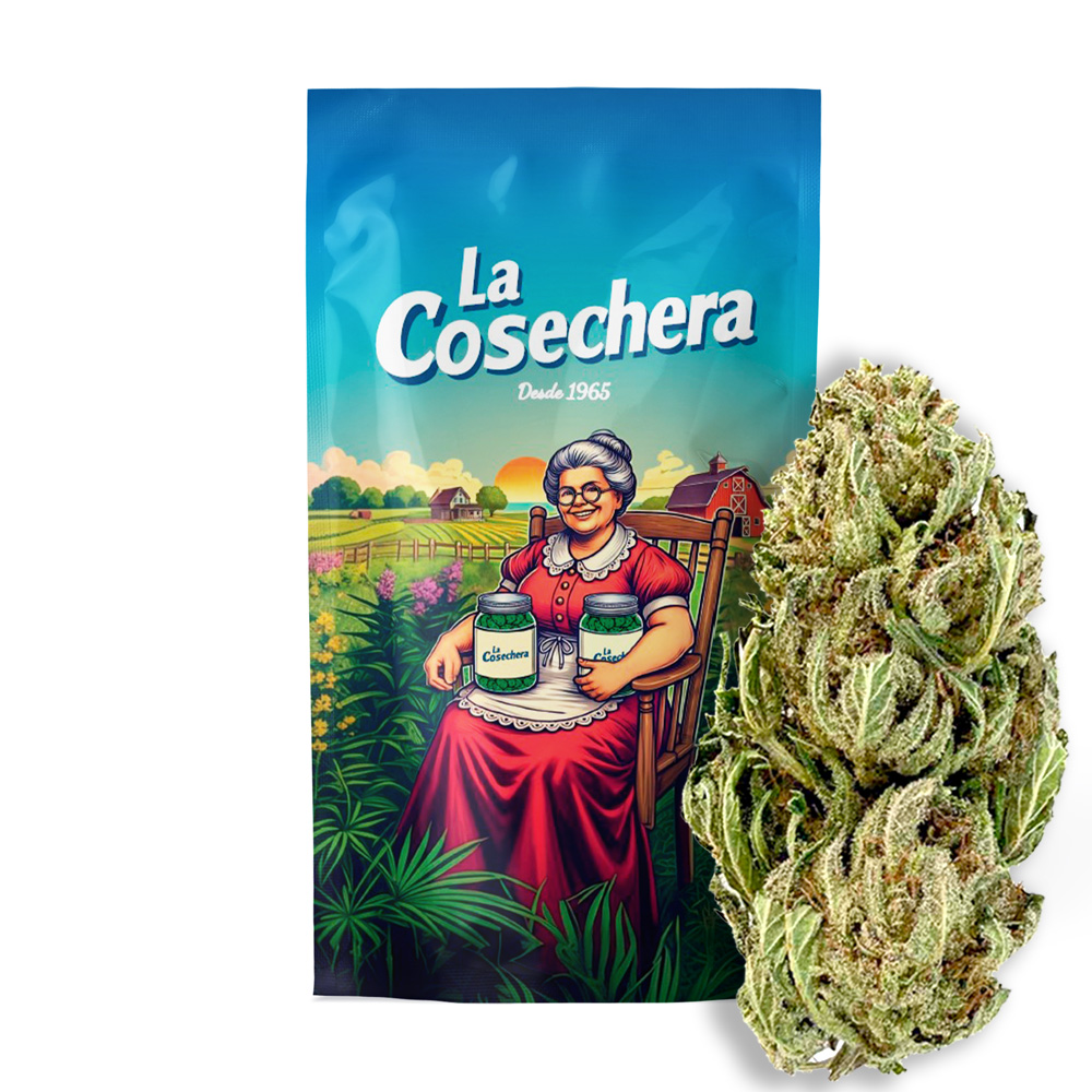 La Cosechera Orange Cali