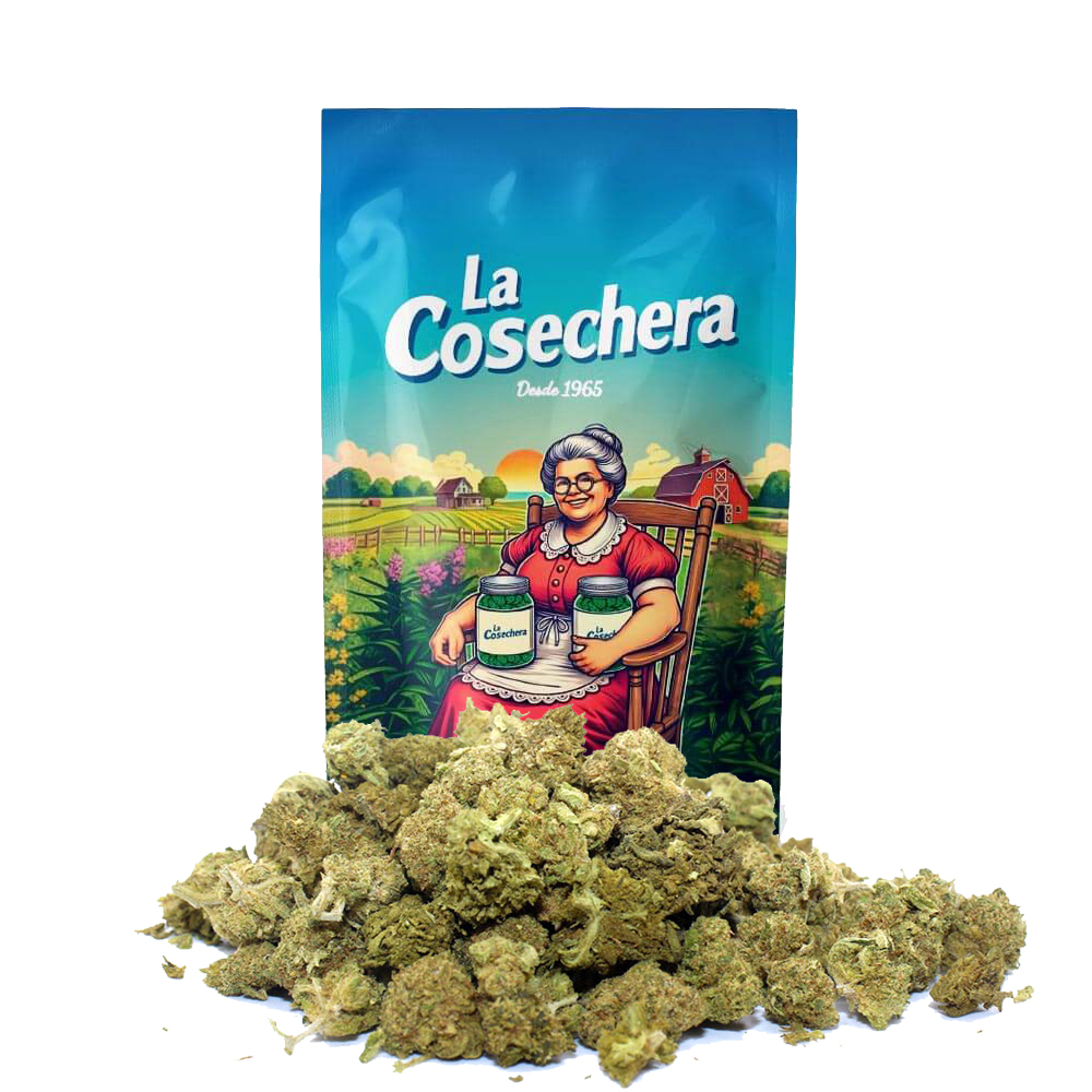 Cañamo La Cosechera Small Buds Amnesia